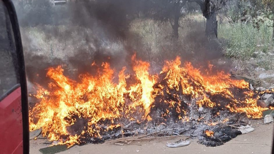 Balıkesir'de 1 haftalık yangın bilançosu dudak uçurttu