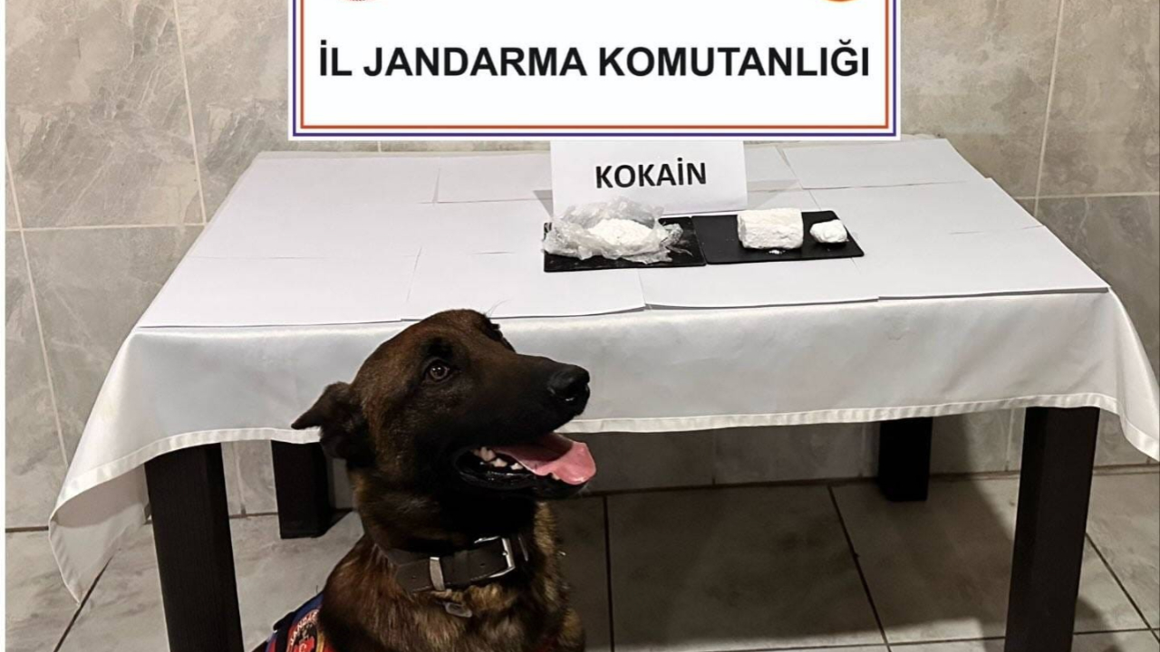 Muğla’da yolcu otobüsünde 290 gram kokain yakalandı
