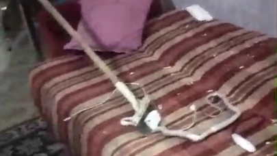 Mardin'de evde yakalanan yılan doğaya salındı