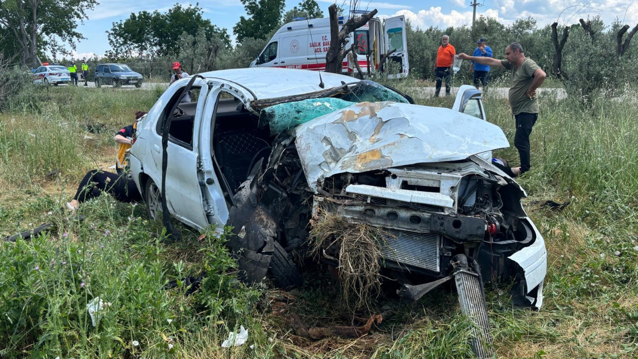 Bursa'da otomobil zeytinliğe uçtu