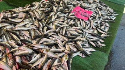 Zonguldak'ta av yasağına rağmen tezgahlar balıksız kalmadı