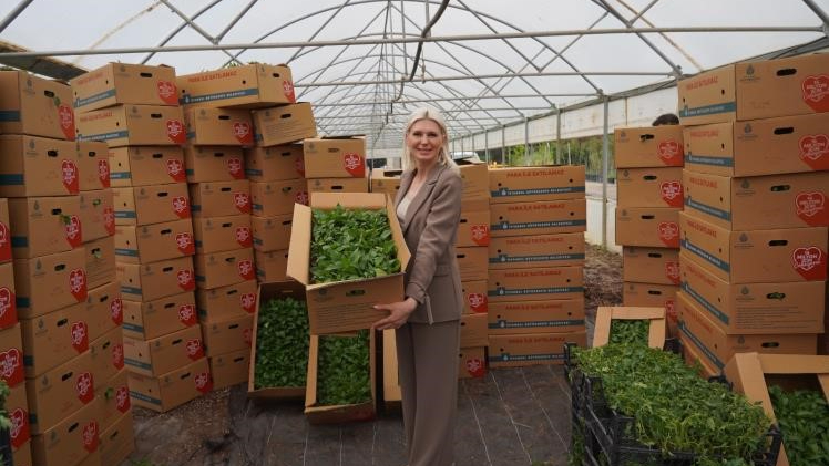 Son üç yılda 1 milyon 700 bin fide dağıtıldı