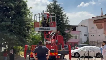 Bursa'da itfaiye ekipleri ağaçta mahsur kalan kedileri kurtardı