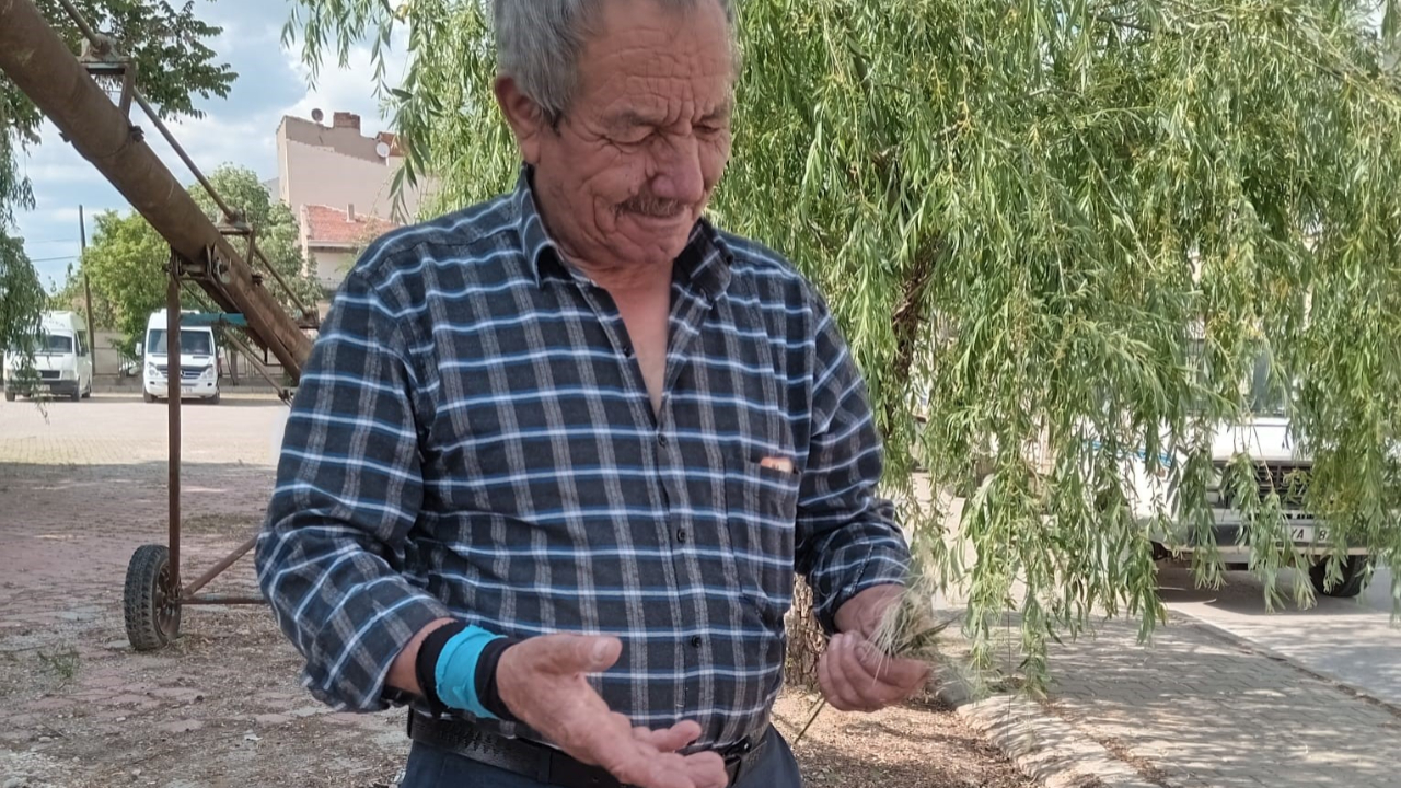 Zirai don buğday ve arpa üretimini vurdu