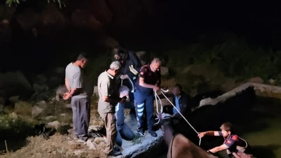 Adıyaman’da havuza düşen inek kurtarıldı