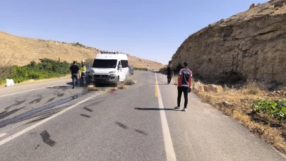 Minibüs sürüye daldı! 13 küçükbaş öldü