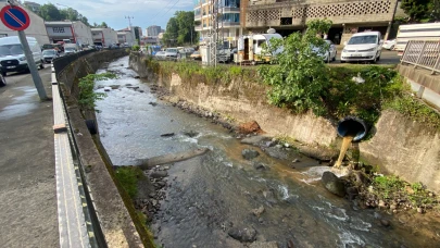 Rize’de derede balık ölümlerine inceleme