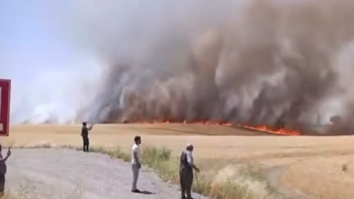 Diyarbakır’da bin dönümden fazla buğday ve arpa yangında kül oldu