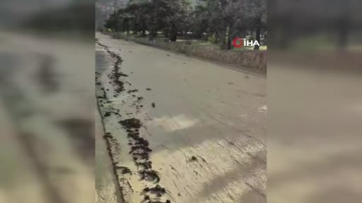 Ankara'da sağanak sonrası sel