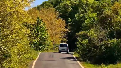 Tekirdağ'da ormanlara girişler yasaklandı