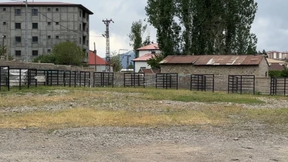 Yüksekova'da şap hastalığı alarmı