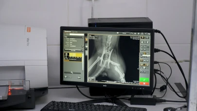 Başkan Günel, 5’inci kattan düşen kediye yaşam umudu oldu