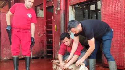 Salihli’de kurban kesimini uygulamalı öğrendiler