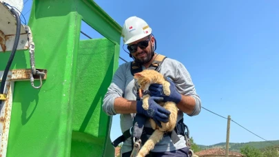 Direkte can pazarı: Kedi kurtarıldı
