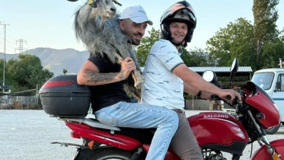 Kaçan keçiyi motosikletle yakalayıp omuzlarında pazara getirdiler