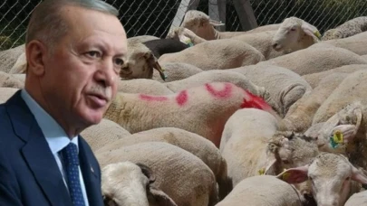 Cumhurbaşkanı Erdoğan'ın kurbanda ne kestiği belli oldu