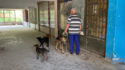 Yaklaşık 2 haftadır depoda mahsur kalan 6 köpek kurtarıldı