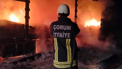 Çorum'da tırın dorsesi alev alev yandı