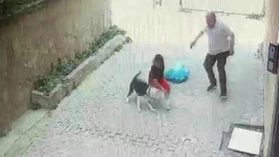 Ataşehir'de pitbull cinsi köpeğin çocuğa saldırdığı anlar kamerada