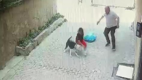 Ataşehir'de pitbull cinsi köpeğin çocuğa saldırdığı anlar kamerada
