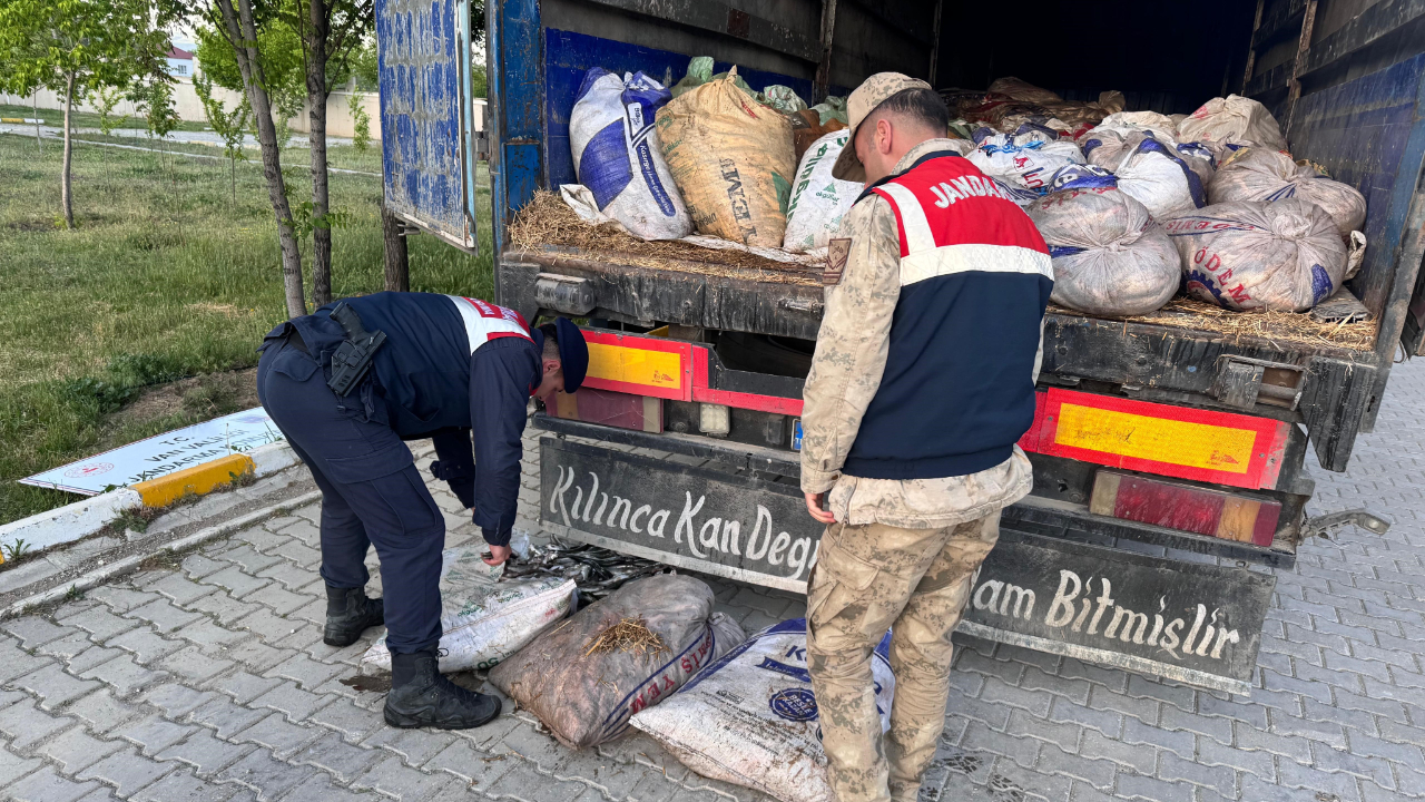 Van’da 19 ton 200 kilo inci kefali balığı ele geçirildi