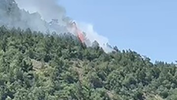 Ankara'da orman yangın! Ekipler müdahale ediyor
