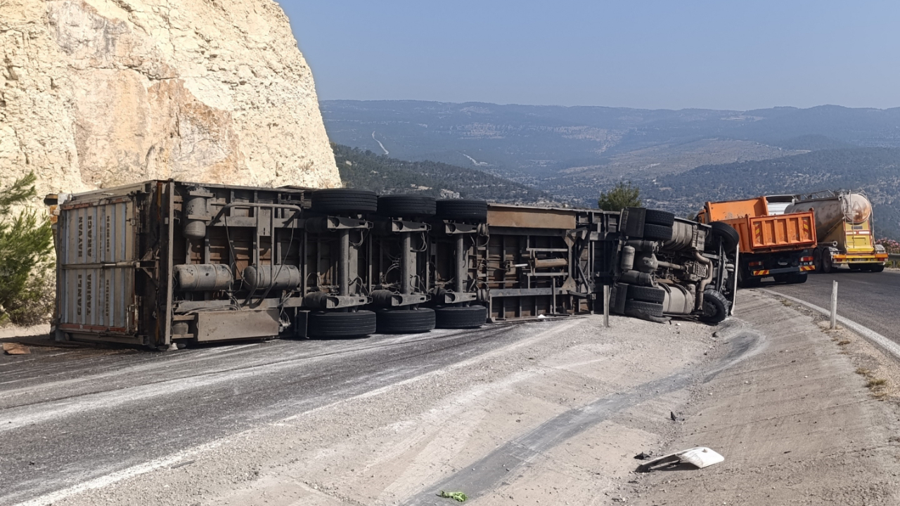 Angus yüklü tır devrildi kaçan hayvanlar yakalandı