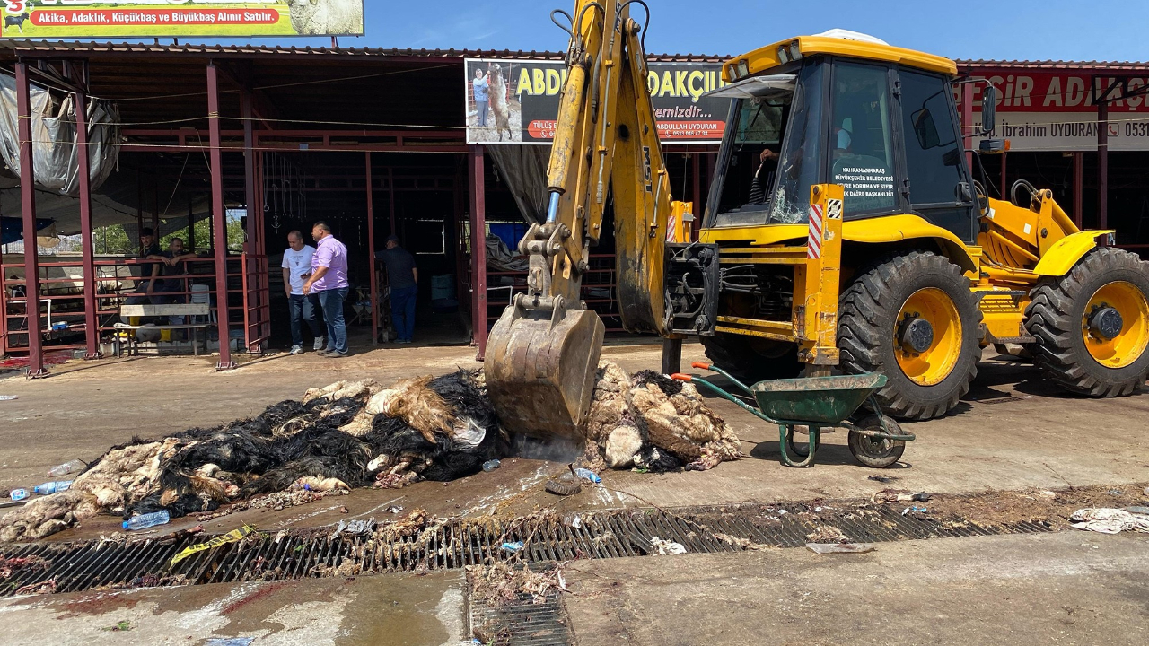 Kahramanmaraş'ta hayvansal atıklar temizlendi