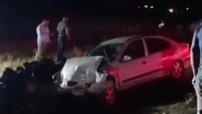 Siverek’te kontrolden çıkan otomobil şarampole girdi: 2 yaralı