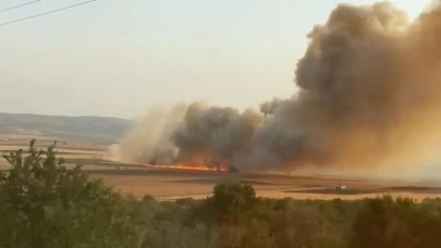 Araban Ovası'nda 500 dönüm ekili alan kül oldu