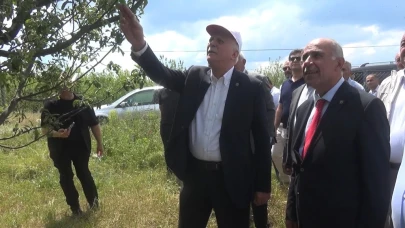 TZOB açıkladı: Türkiye'nin 65 ilinde meyve ürünleri zararda
