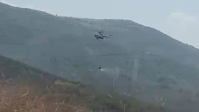 Gemlik'teki yangına müdahale sürüyor!