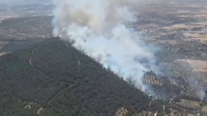 İzmir Foça'da orman yangını!
