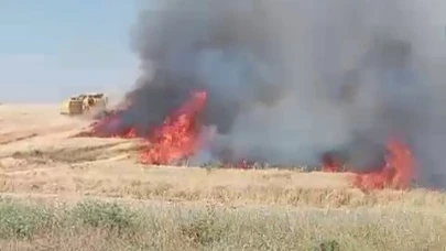 Adıyaman’da ekili alanlar yandı