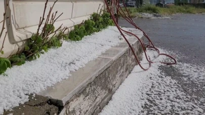 Sarıkamış'ta dolu yağışı hayatı olumsuz etkiledi