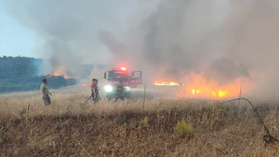 Ayvacık’ta tarım arazisinde yangın