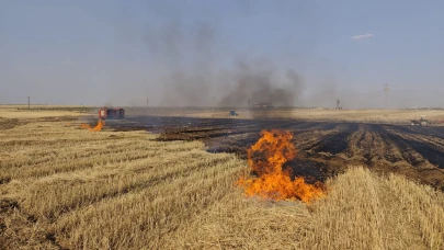 Mardin’de çıkan anız ve orman yangınları söndürüldü