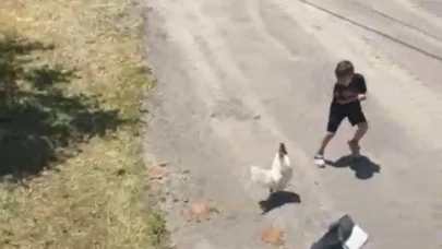 Minik çocuğun horozla imtihanı gülümsetti
