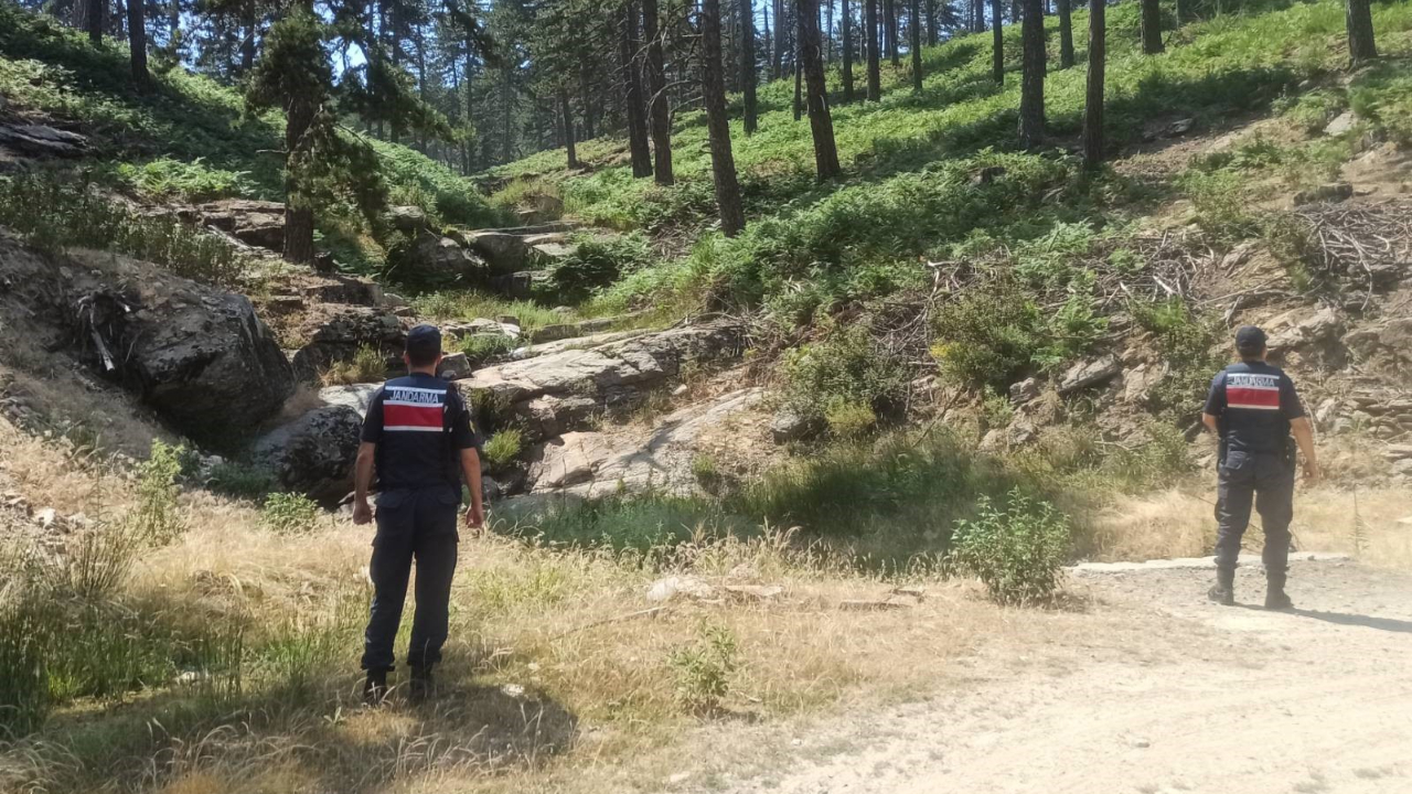 Jandarma ekipleri orman yangınlarına karşı nöbette