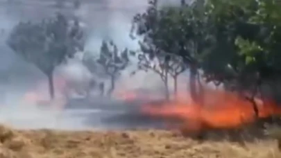 Siirt’te kontrolsüz ateş yangına sebep oldu! 100 fıstık ağacı zarar gördü