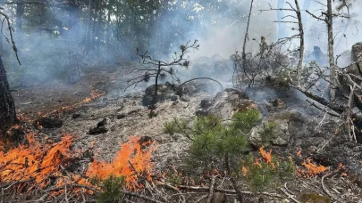 Kastamonu'da çıkan orman yangını büyümeden söndürüldü