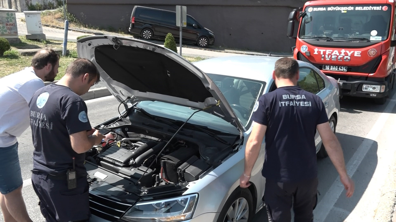 Bursa'da yavru kedi trafiği kilitledi