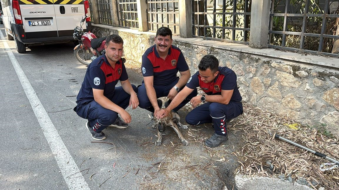 Antakya'da kuyuya düşen köpeği itfaiye kurtardı