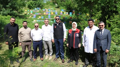 Düzce’de tarıma koruma!20 bin Samurai arısı doğaya salındı