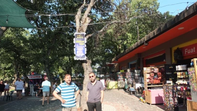 Ağaç dalları kurudu! Kazaya davetiye çıktı
