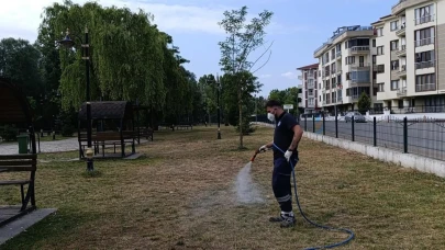 Bartın'da kene ile mücadele