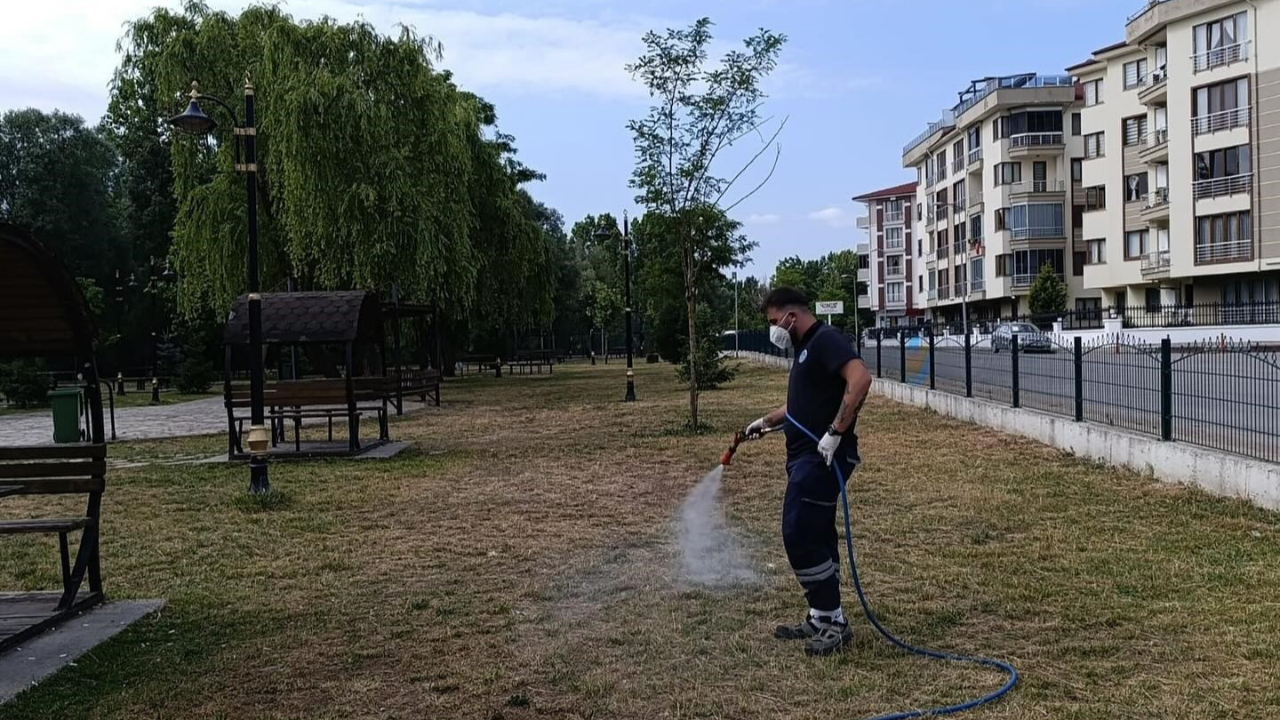 Bartın'da kene ile mücadele