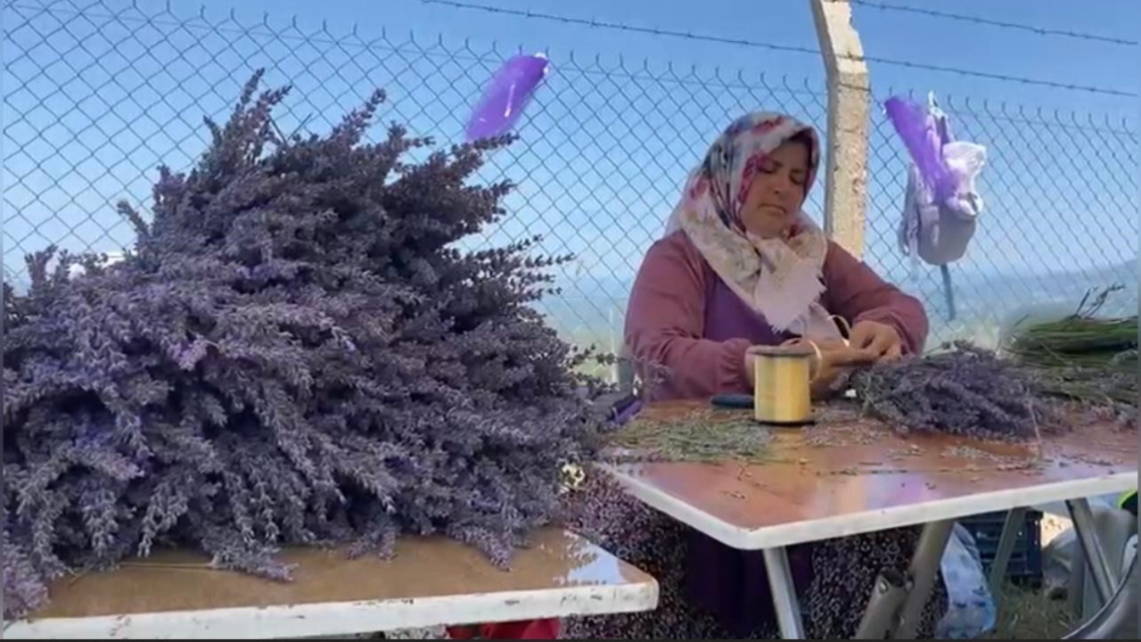 Kadınların emeğiyle doğaya yeniden can verdi