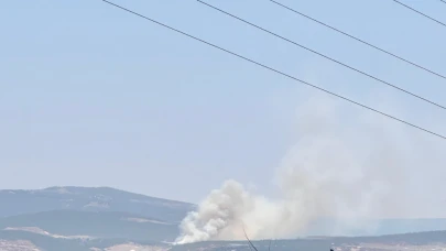 Bursa Kayapa'da orman yangını