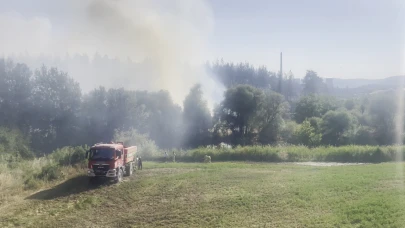 Bursa'daki orman yangını kontrol altına alındı